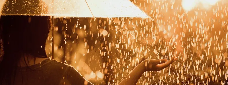 雨の日に見たい、雨が愛おしくなる映画